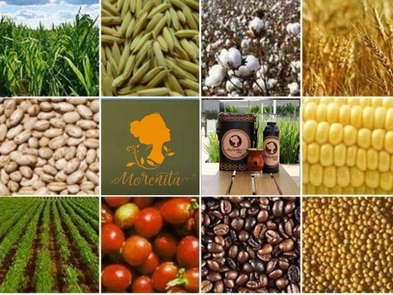 Brindes Personalizados para o Agronegócio em Ijuí